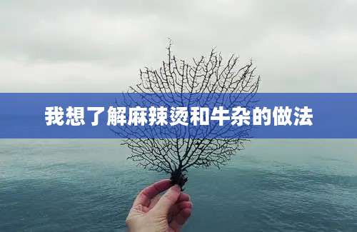 我想了解麻辣烫和牛杂的做法