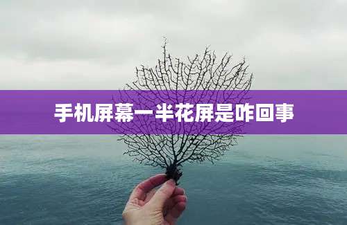 手机屏幕一半花屏是咋回事