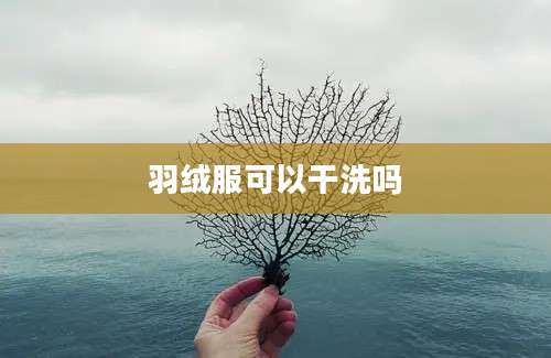 羽绒服可以干洗吗