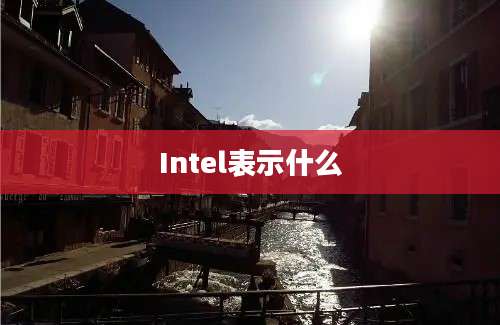 Intel表示什么