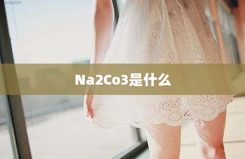 Na2Co3是什么