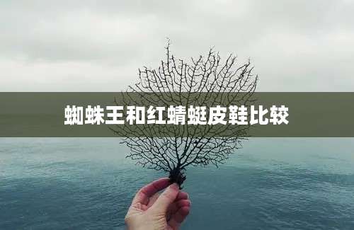 蜘蛛王和红蜻蜓皮鞋比较