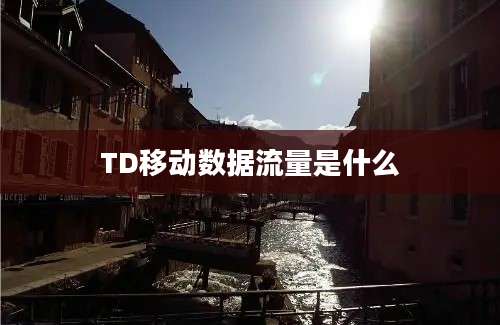 TD移动数据流量是什么