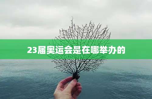 23届奥运会是在哪举办的