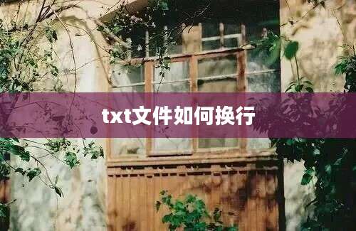 txt文件如何换行