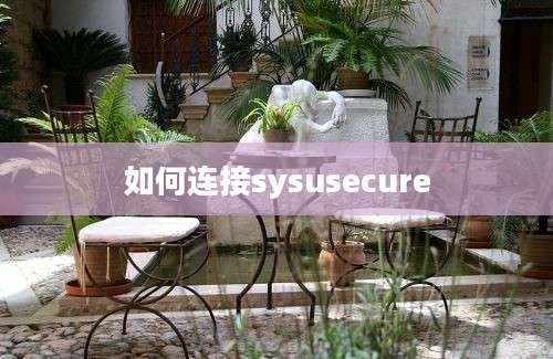 如何连接sysusecure