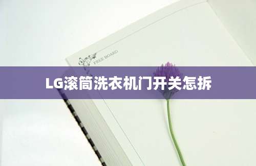 LG滚筒洗衣机门开关怎拆