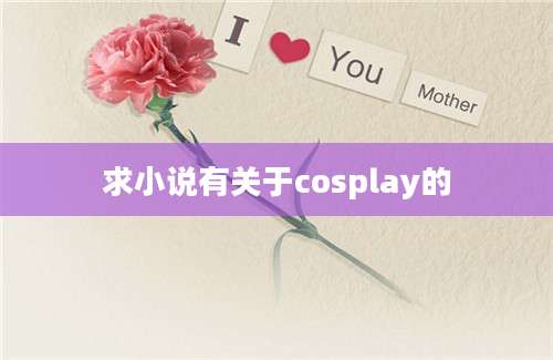 求小说有关于cosplay的