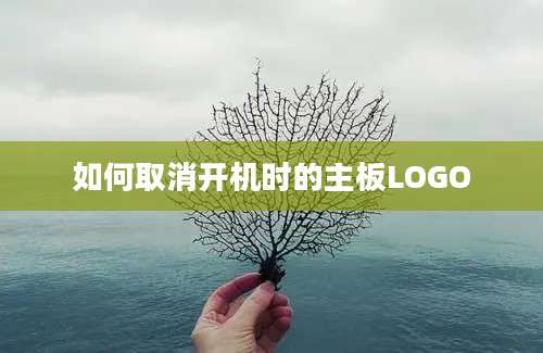 如何取消开机时的主板LOGO