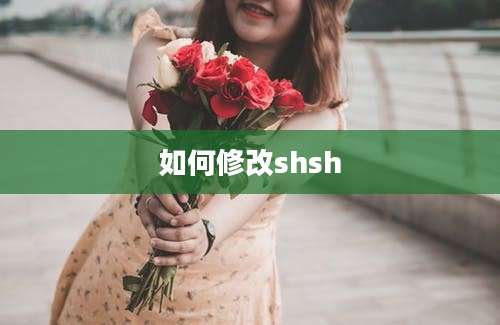 如何修改shsh