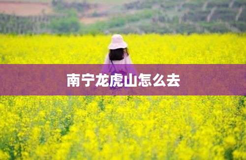 南宁龙虎山怎么去