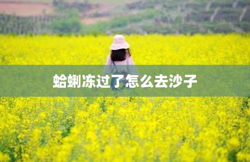 蛤蜊冻过了怎么去沙子