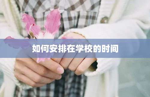 如何安排在学校的时间