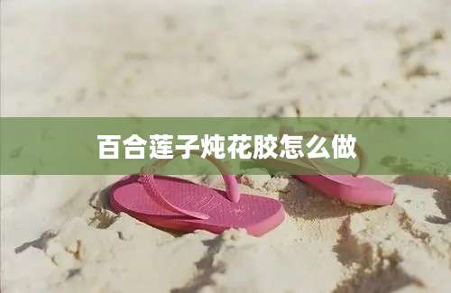 百合莲子炖花胶怎么做