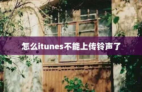 怎么itunes不能上传铃声了