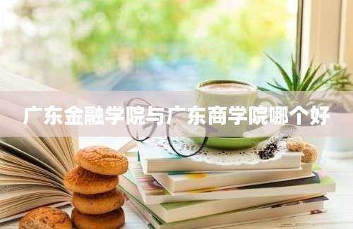 广东金融学院与广东商学院哪个好