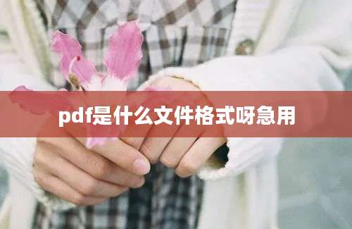 pdf是什么文件格式呀急用