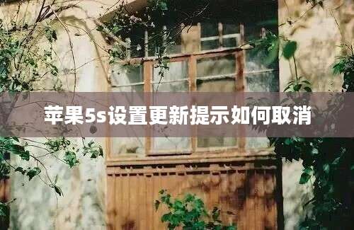 苹果5s设置更新提示如何取消