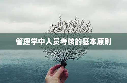 管理学中人员考核的基本原则