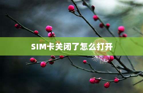 SIM卡关闭了怎么打开