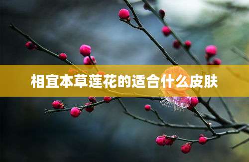 相宜本草莲花的适合什么皮肤