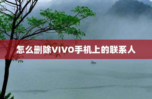 怎么删除VIVO手机上的联系人