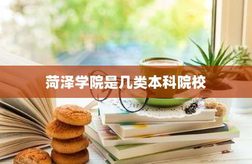 菏泽学院是几类本科院校