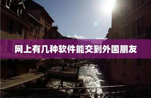 网上有几种软件能交到外国朋友