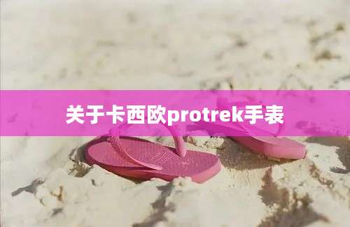 关于卡西欧protrek手表