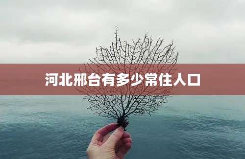 河北邢台有多少常住人口