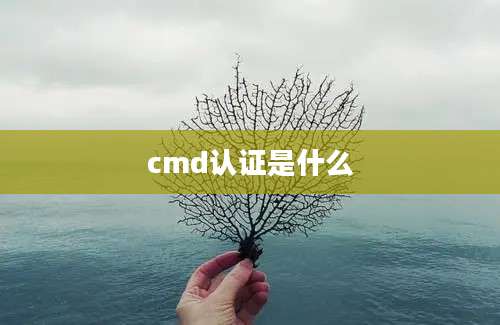 cmd认证是什么