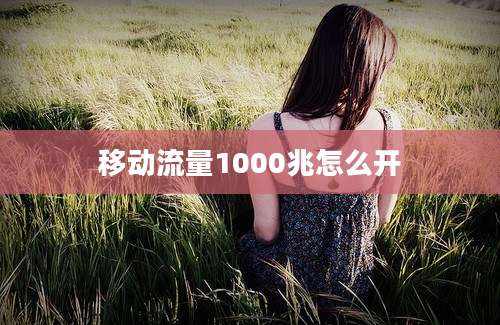 移动流量1000兆怎么开