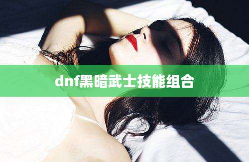 dnf黑暗武士技能组合