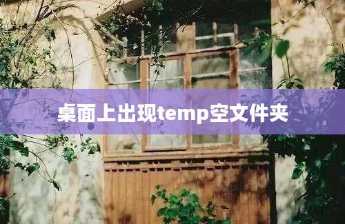 桌面上出现temp空文件夹