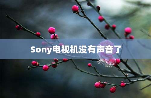 Sony电视机没有声音了