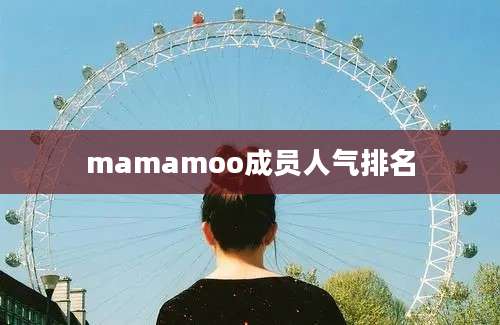 mamamoo成员人气排名