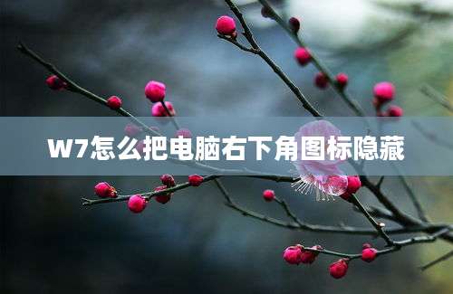 W7怎么把电脑右下角图标隐藏