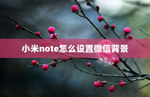 小米note怎么设置微信背景