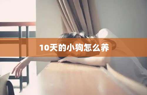 10天的小狗怎么养