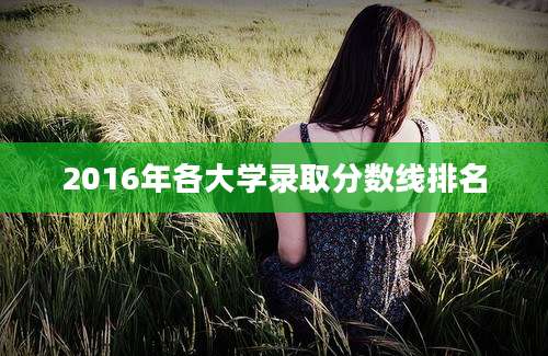 2016年各大学录取分数线排名