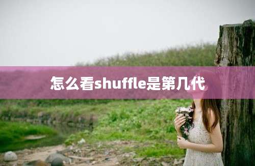 怎么看shuffle是第几代