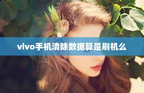 vivo手机清除数据算是刷机么