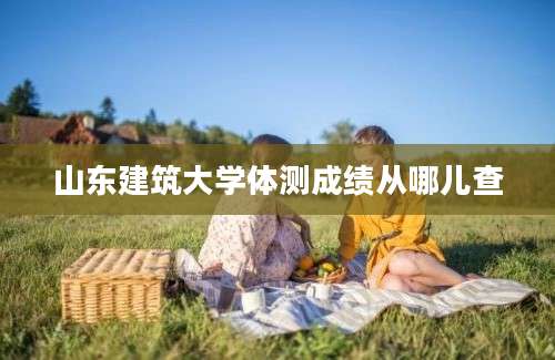 山东建筑大学体测成绩从哪儿查