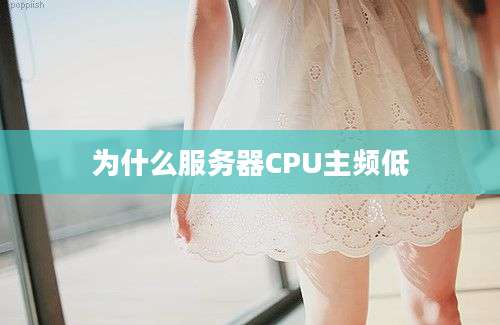 为什么服务器CPU主频低