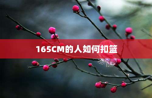 165CM的人如何扣篮