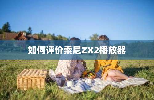 如何评价索尼ZX2播放器