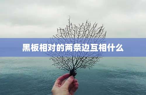 黑板相对的两条边互相什么