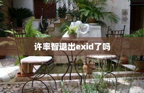 许率智退出exid了吗