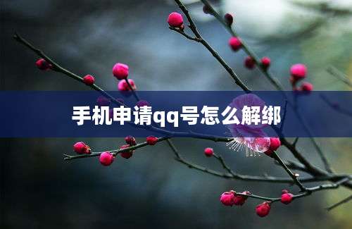 手机申请qq号怎么解绑