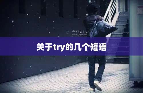 关于try的几个短语